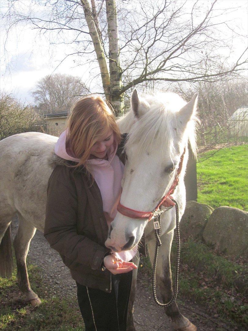 Anden særlig race • William billede 6
