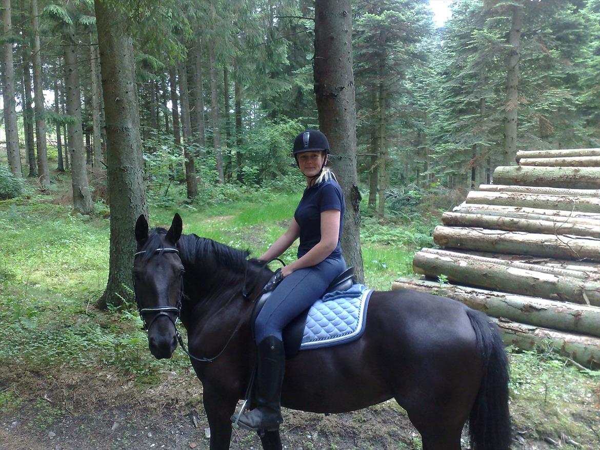 Anden særlig race Nairobi billede 1