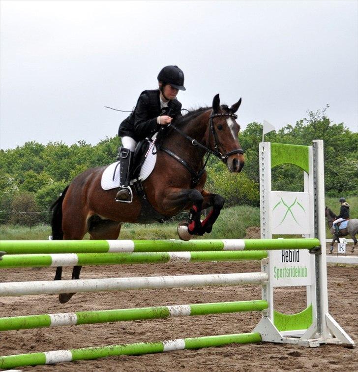 Hollandsk Sportspony Wendy, drømmeponyen - Masterspringning REB 2011 billede 20