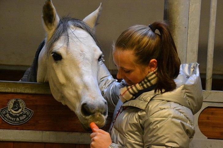 Welsh Partbred (Sec F) Myrebjergets Skywalker | A - Min lille baby pony til landstævne vinteren 2011<3  billede 17