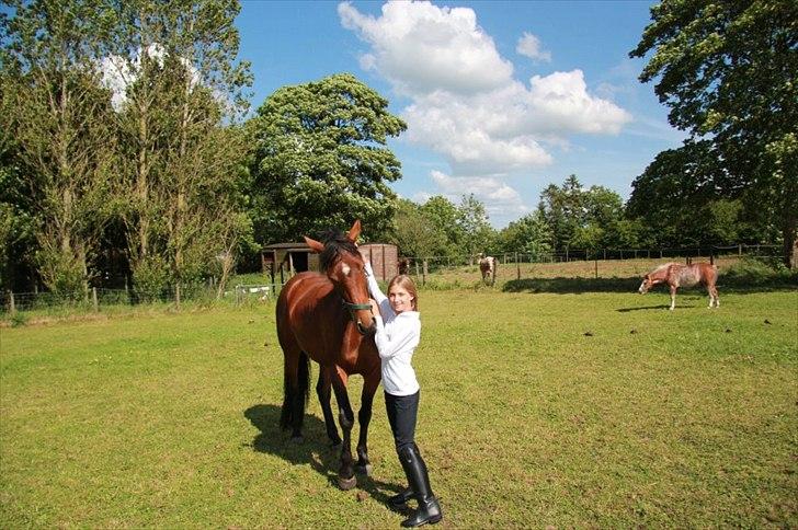 Pinto Lady Taupo (SOLGT) - uha det er bare dejligt:) billede 9