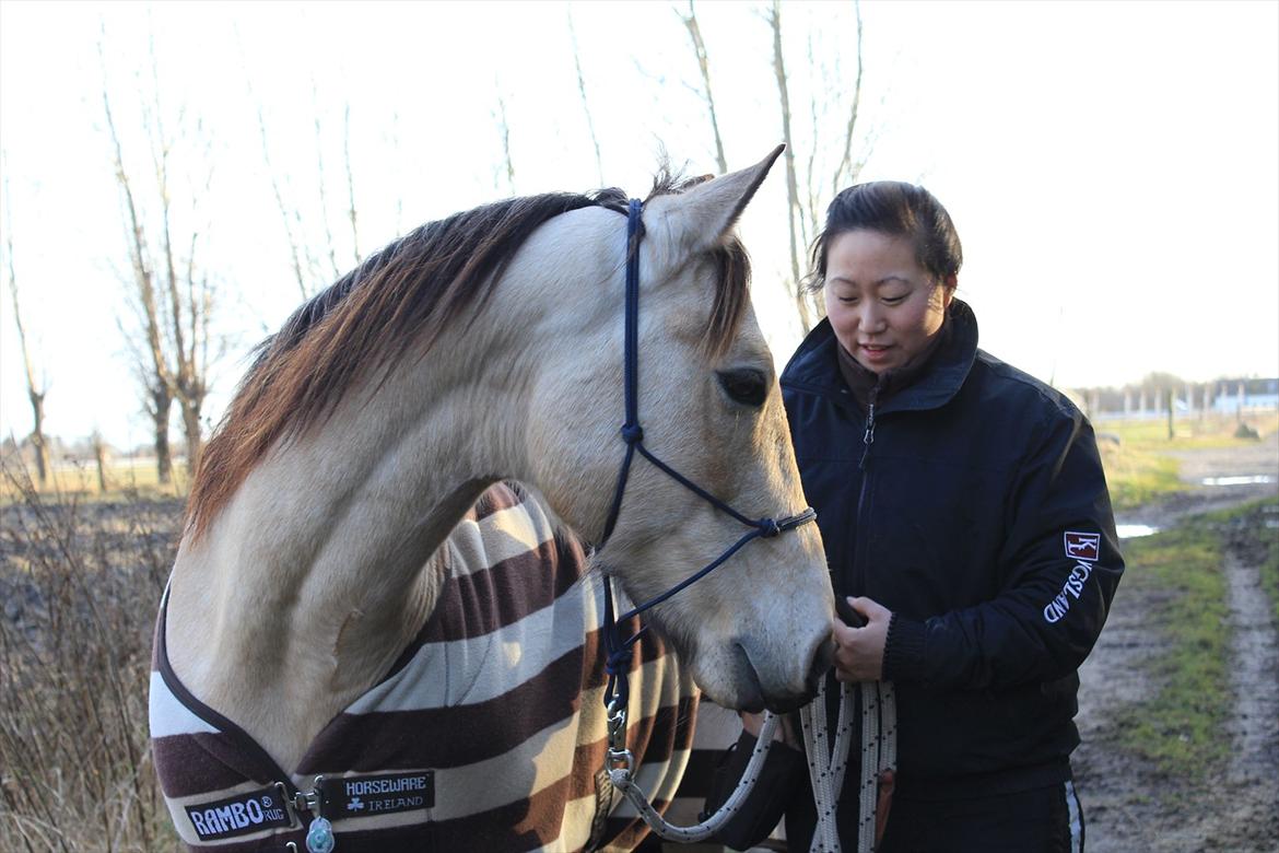Anden særlig race Cee Bee Gipsy R.I.P - <3 billede 17