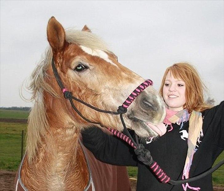 Haflinger Nuka - den tunge der xD <3<3 billede 1