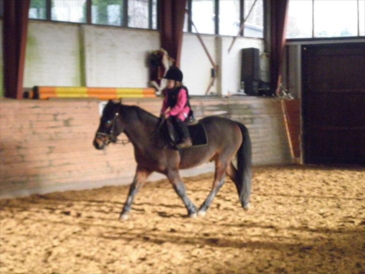 Anden særlig race Magnum.. - Nyt. Fra d. 29/12-2011. billede 1