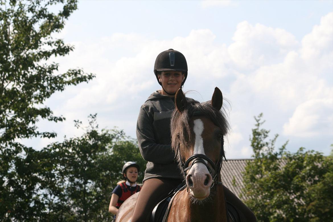 New Forest Tarzan billede 6