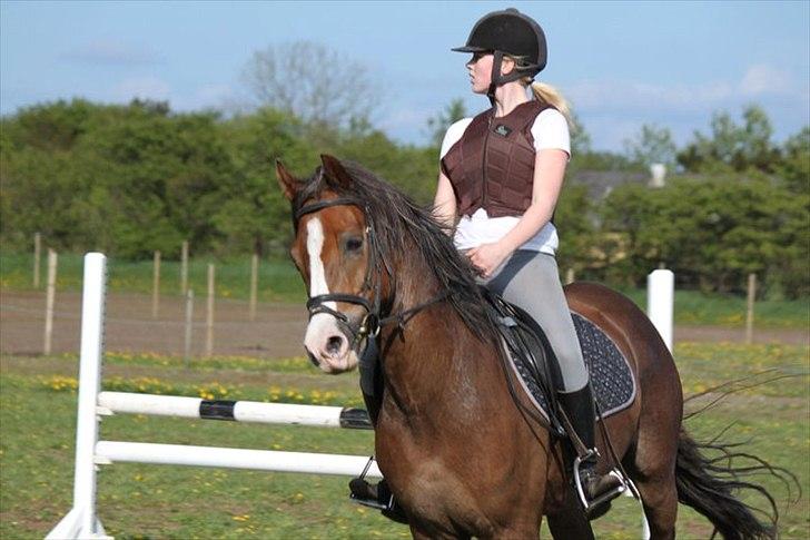 New Forest Tarzan billede 12