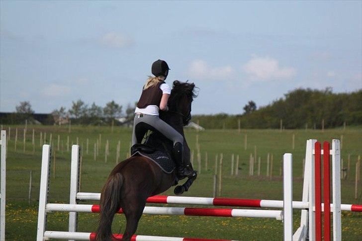 New Forest Tarzan billede 13