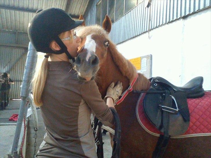 Anden særlig race Mathilde (Rideskolehest) - ved godt sadlen sider for lang fremme billede 8