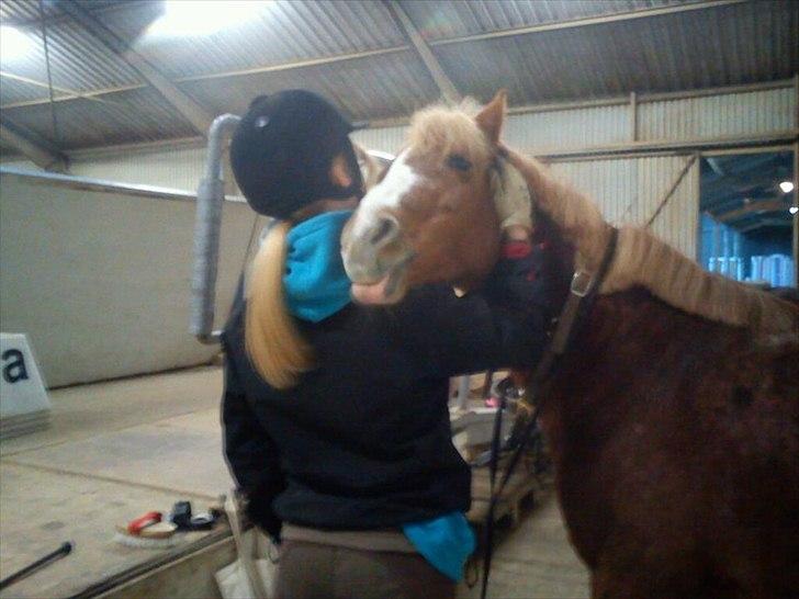 Anden særlig race Mathilde (Rideskolehest) - gør hun altid når man tager grimen af hende. hun er så skøn billede 12