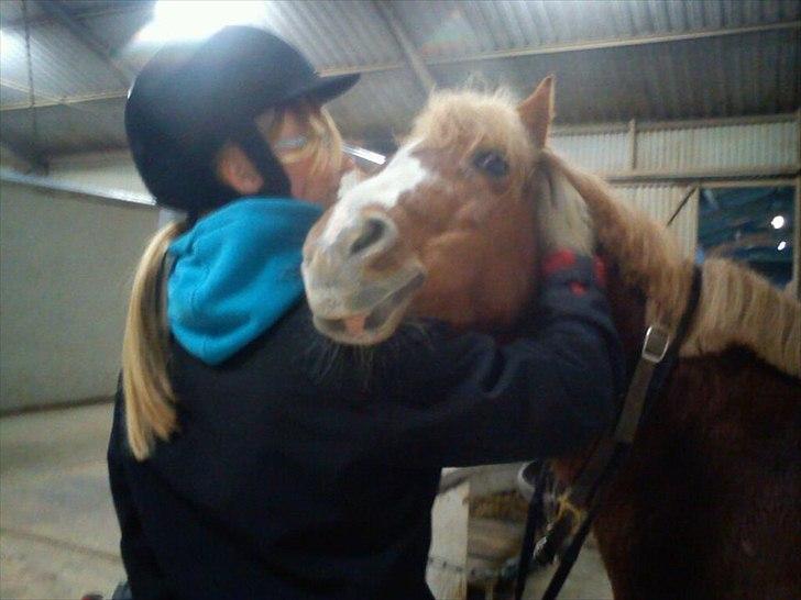 Anden særlig race Mathilde (Rideskolehest) billede 2