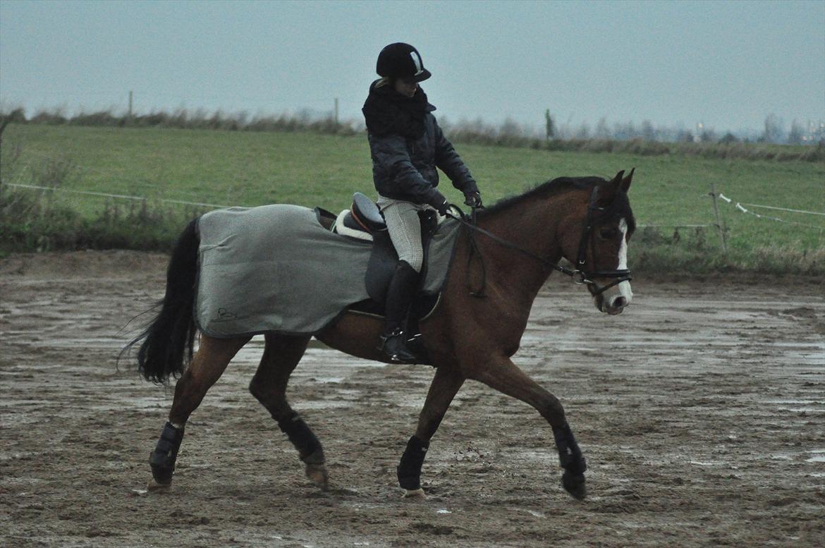 DSP Aluett <3 *min* (Savnet) - December 2011 billede 2