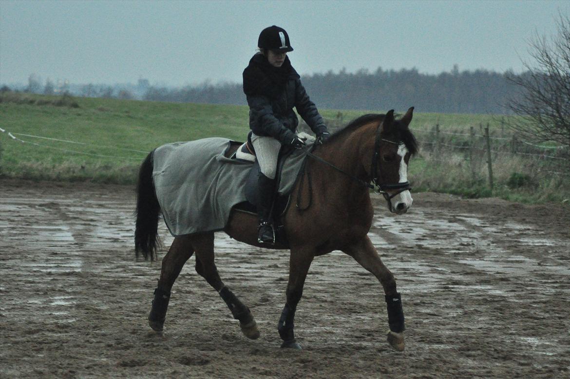 DSP Aluett <3 *min* (Savnet) - 2011 billede 3