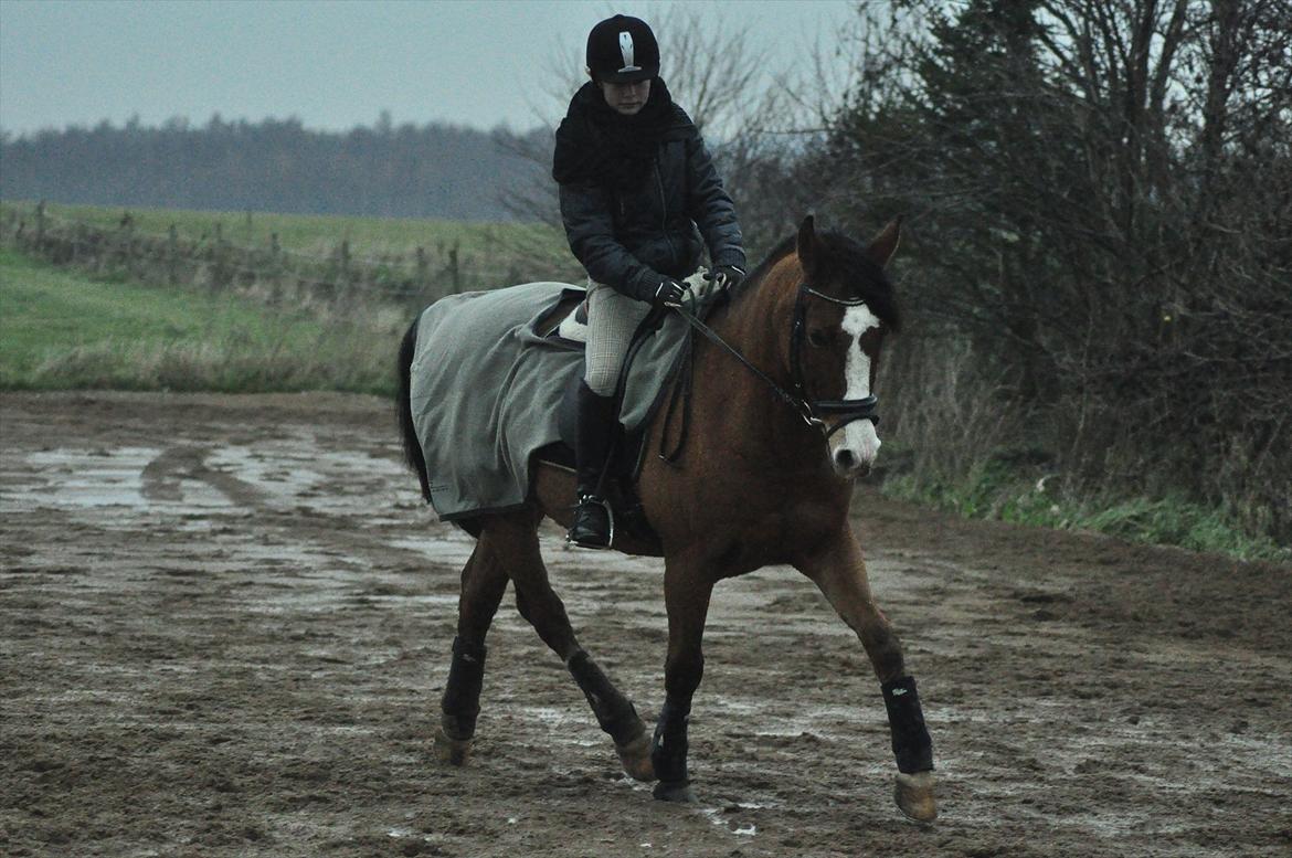 DSP Aluett <3 *min* (Savnet) - 2011 billede 4