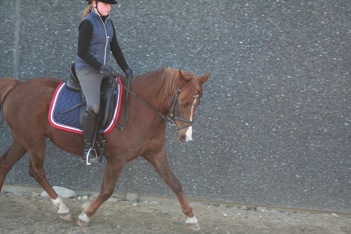 DSP Roxette - 2 gang jeg rider hende billede 1