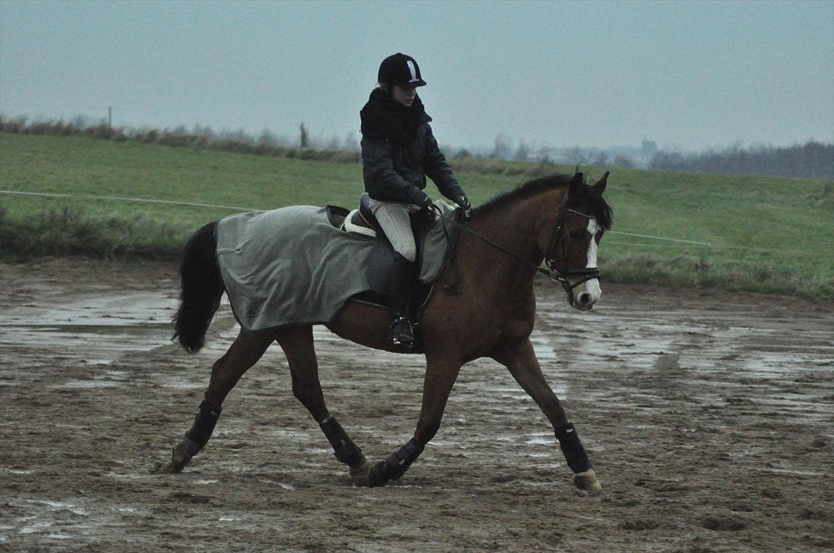 DSP Aluett <3 *min* (Savnet) - 2011 billede 5