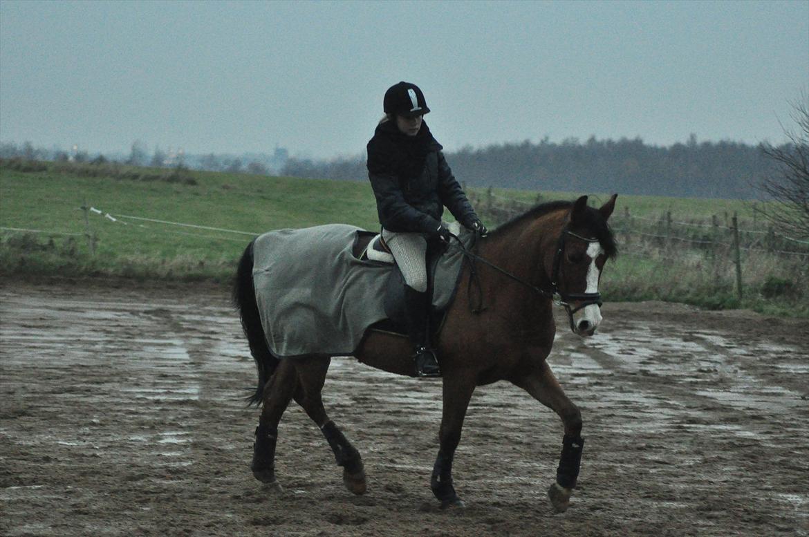 DSP Aluett <3 *min* (Savnet) - 2011 billede 6