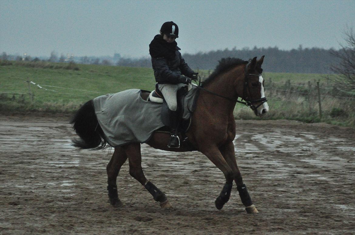 DSP Aluett <3 *min* (Savnet) - 2011 billede 7