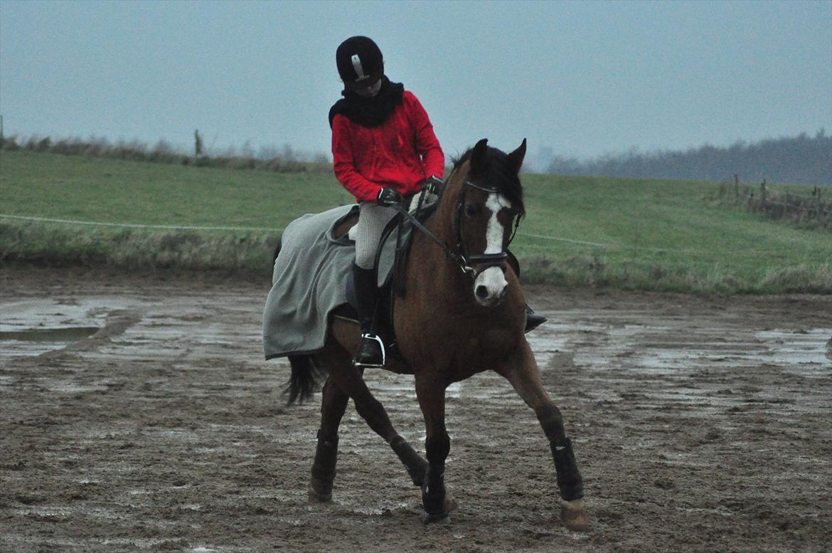 DSP Aluett <3 *min* (Savnet) - 2011 billede 8