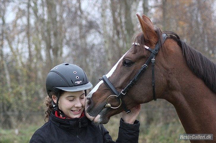 DSP Hope - 2011 billede 12