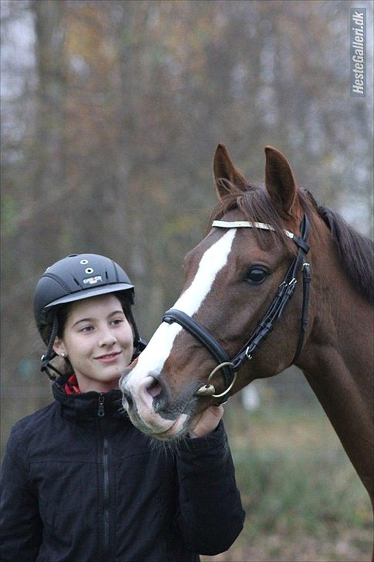 DSP Hope - 2011 billede 13