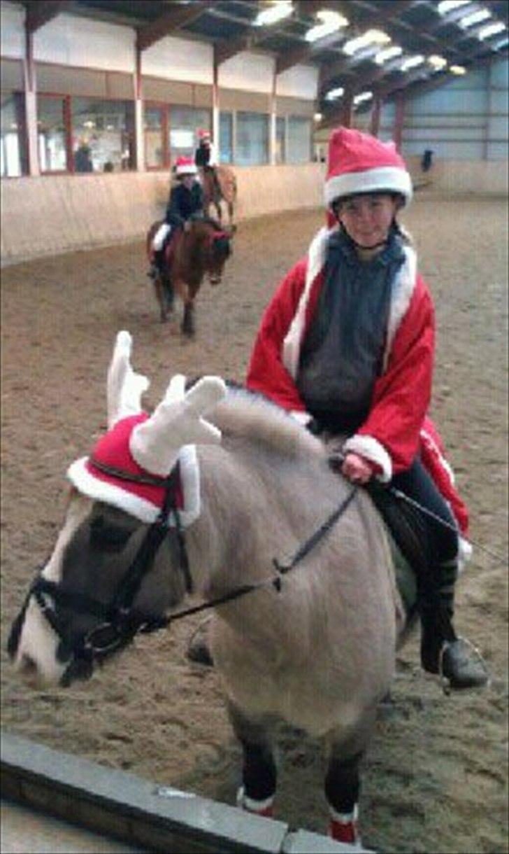 Anden særlig race Blakken - ''No hour of life i wasted, that is spent in the saddle'' billede 4