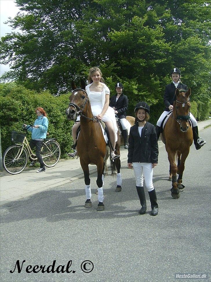 Arabisk fuldblod (OX) Fanema - De bedste piger, og den bedste pony, til min konfirmation - 20 Maj 2011. billede 10