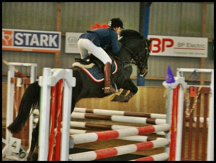 Oldenborg Moonlight - Moonlight flyvende i LB** til sit andet distrikt stævne. Efter 3 mdr på skolen! billede 13