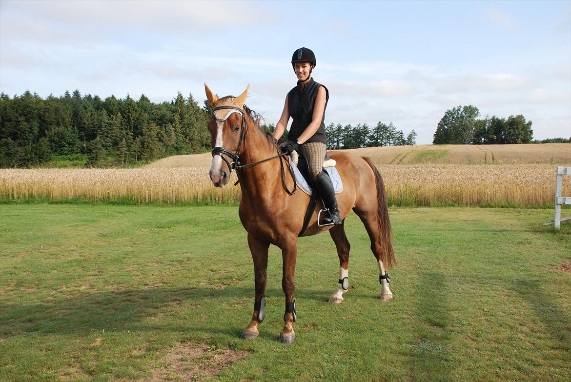 Anden særlig race Jacob<3 - Inden vi skulle på tur<3:-)
 billede 18