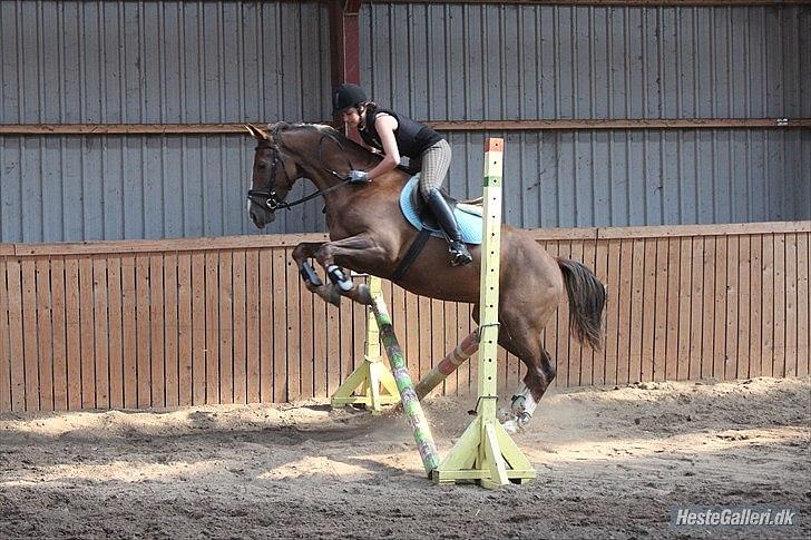 Anden særlig race Jacob<3 billede 19