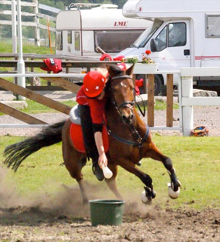 Anden særlig race Amazing Me DK - Nisse Cup 2010. Foto: Ubekendt billede 20