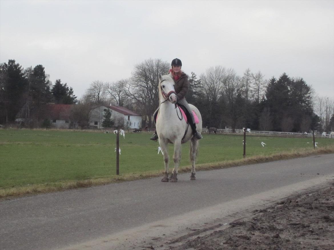 Anden særlig race • William - første ride tur på William billede 7