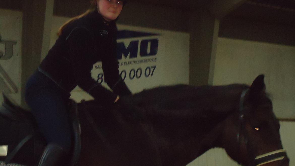 Trakehner Thjalfe - 29 december 2011 efter en dejlig træning :) billede 7