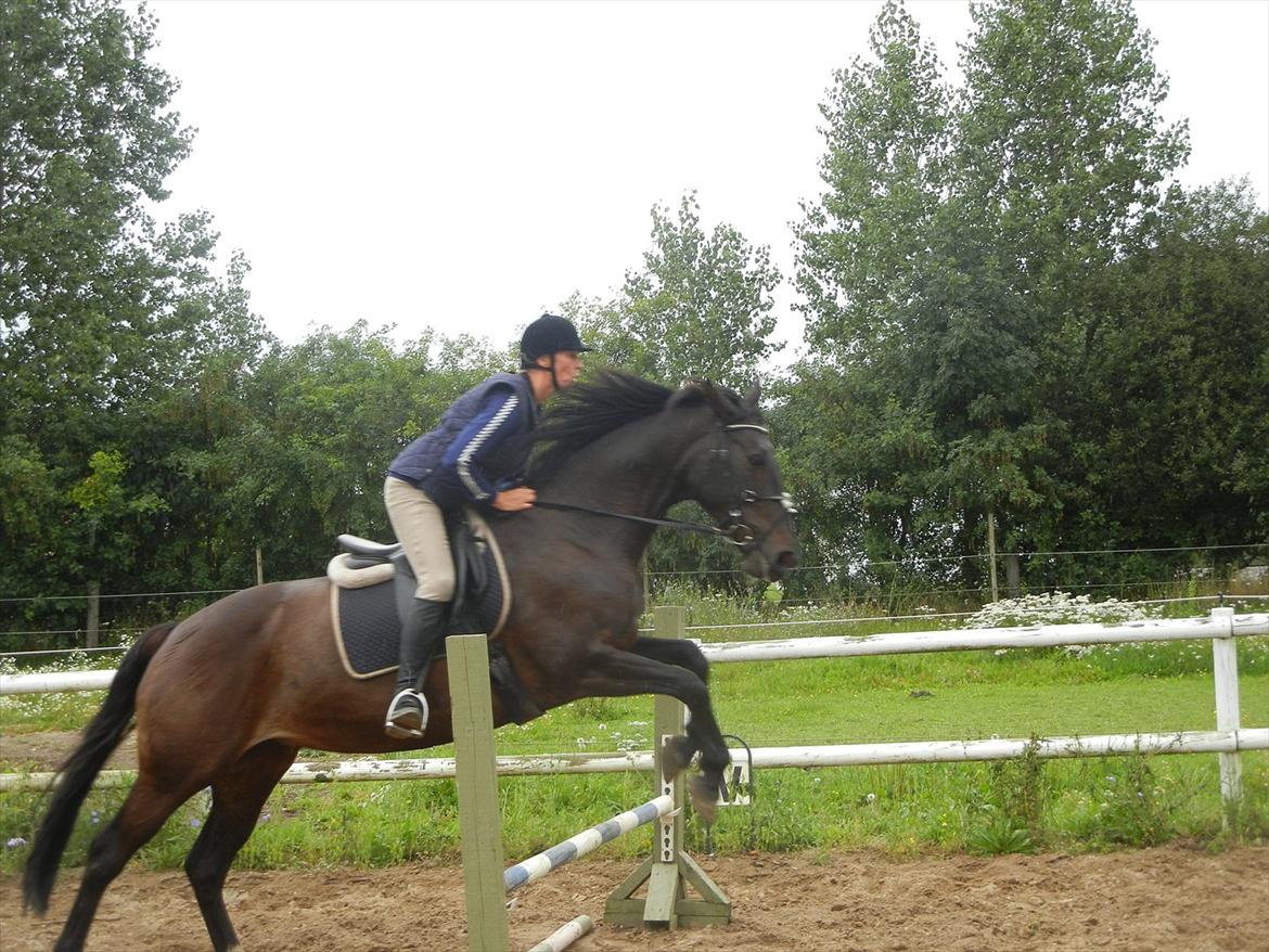 Anden særlig race  Lopez  - Her er det mig der springer på hende. ca. 60-70 cm.:-) Foto: Min datter :-) billede 2