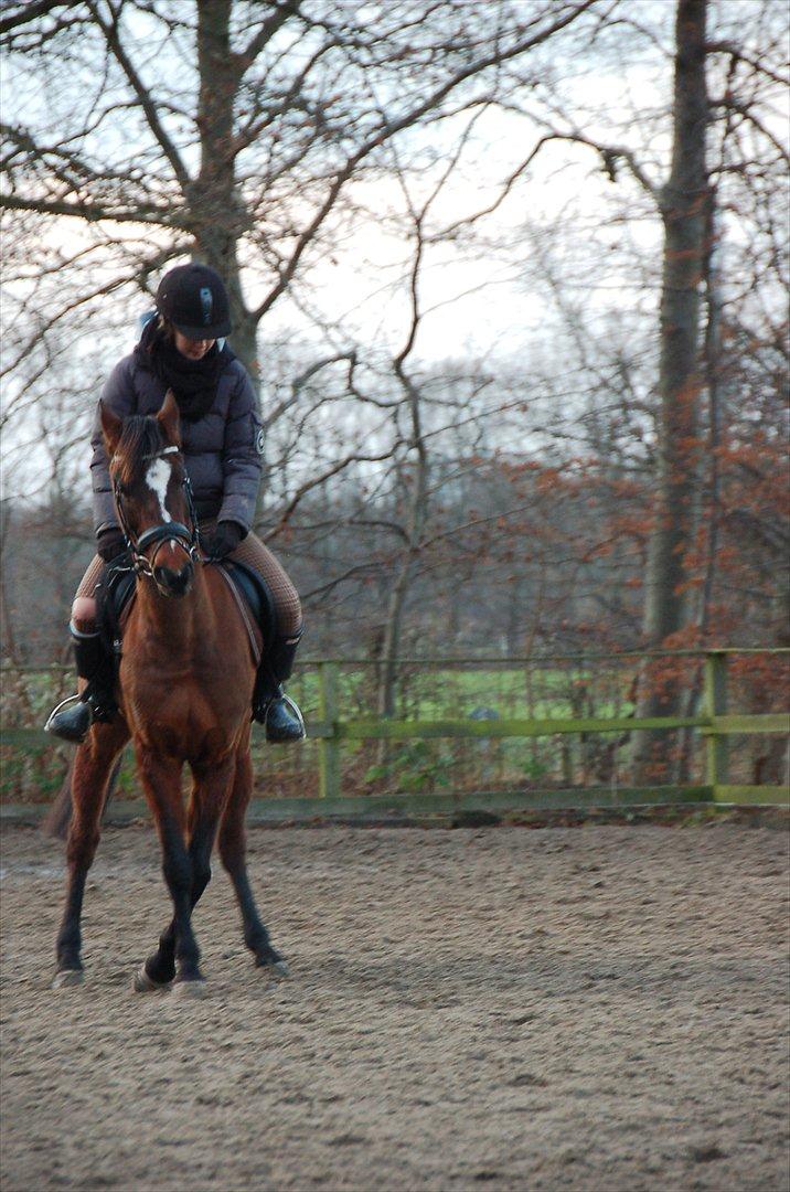 Anden særlig race Emma Embrace <3 - schenkelvigning :) billede 20