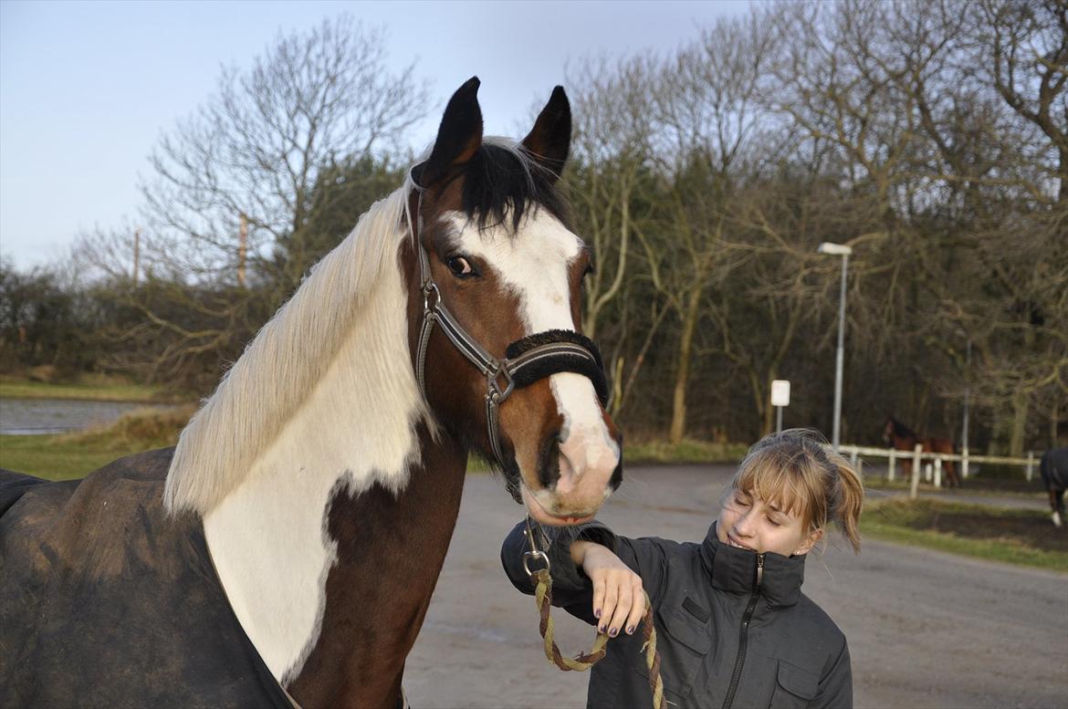Pinto Hoelgaard's La Nelli - Nelli <3 <3  billede 3