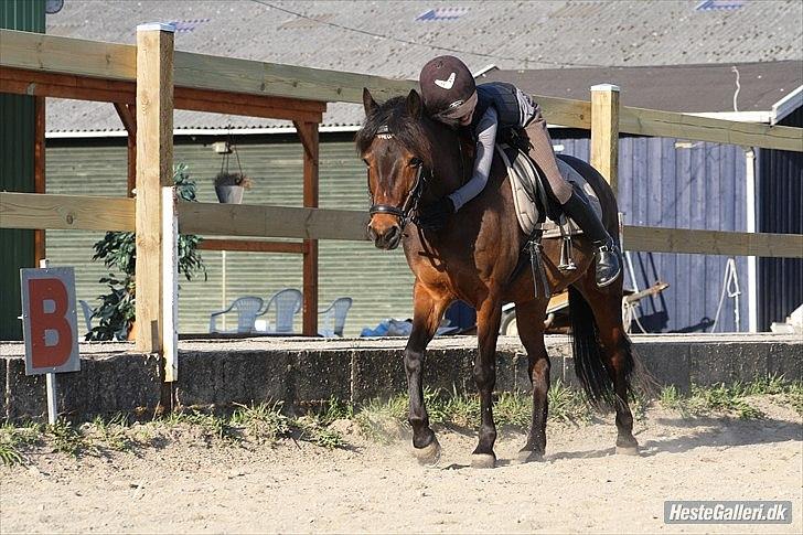 Anden særlig race Filur<3<3 (soglt) :-( - det er godt med en stor krammer billede 14