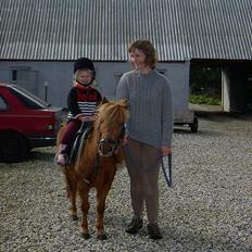 Shetlænder Ranaldi *SOLGT*