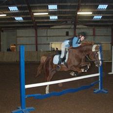 Anden særlig race Starlight <33