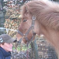 Islænder Ubbi fra Vestergaard
