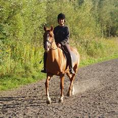 Anden særlig race Annabell - Part