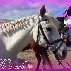 Anden særlig race Nitouche *R.I.P* :'( <3