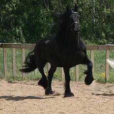 Frieser schalke / odin schelde.  R.i.p. (Himmelhest)