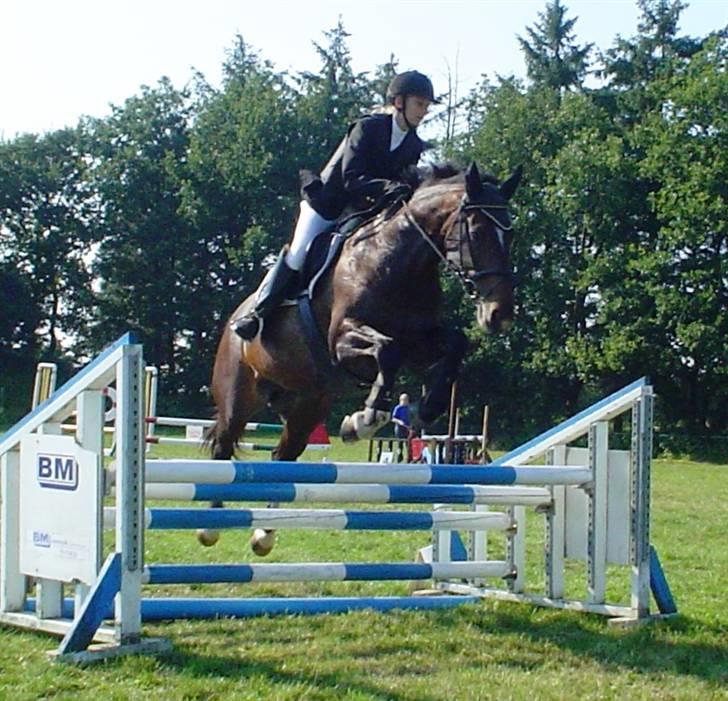 Anden særlig race Sille - Sille og jeg i en LD i Bramming, august 2007 billede 1