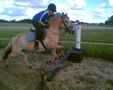 Anden særlig race Whisky - mit bedste spring.. selvom jeg kun har prøvet det for anden gang i mit liv. billede 12