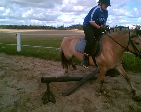 Anden særlig race Whisky - jeg klunter mig over.. billede 13