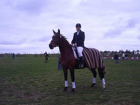 Dansk Varmblod Ratina RDH hoppe "RIP" - mig og min dejlige hest stævne den 21/4- 2007  i skærbæk  billede 5