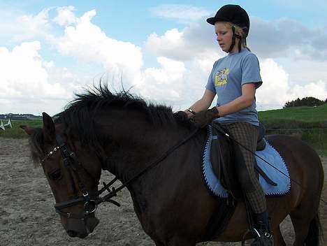 New Forest Egholms Mayo - sofie rider ham billede 16