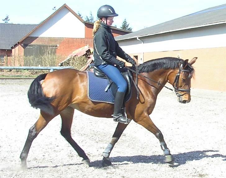 Anden særlig race Fontain - Billed 6 | Får undervisning ved hendes ejer.. Var vist den3/3-07. Elsker den pony <´3  Foto: Jannie billede 6