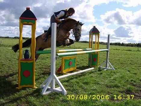 Anden særlig race silas<3<3 ***Solgt*** - spring sommer 2006 billede 9