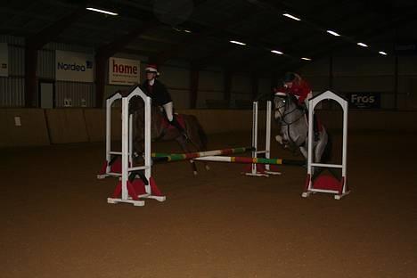 Anden særlig race silas<3<3 ***Solgt*** - Silas og Fundi til opvisning RHO, dec. 2006 billede 10